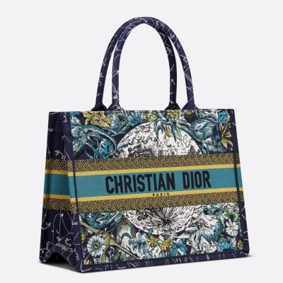 Dior Small Book Tote In Blue Dior Constellation Embroidery