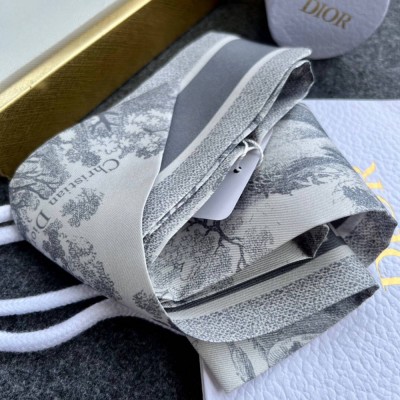 Dior Toile de Jouy Sauvage Mitzah Scarf in Grey Silk Twill