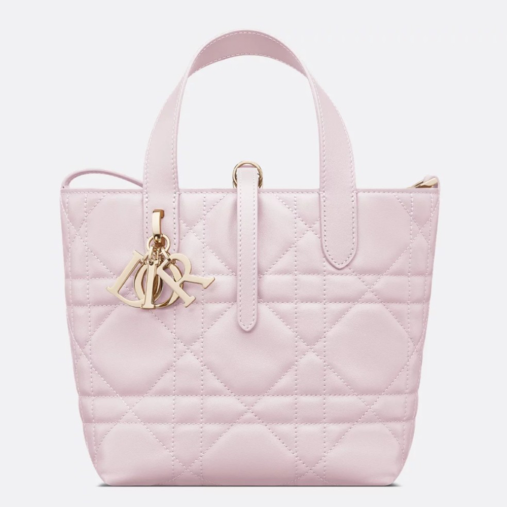 Dior Toujours Vertical Small Tote Bag in Pink Macrocannage Calfskin