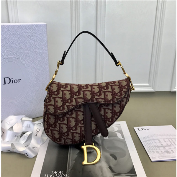 Christian Dior Mini Saddle bag (Varied Colors)