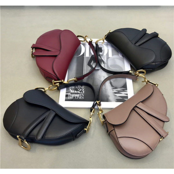 Christian Dior Mini Saddle bag (Varied Colors)