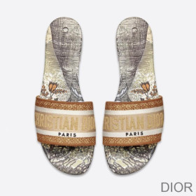 Dior Dway Slides Women Baobab Motif Canvas Grey