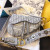 Dior Saddle Bag Oblique Motif Canvas Grey