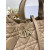 Dior Large Dior Toujours Bag M2820 Tan