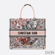 Dior Book Tote La Force Motif Canvas Multicolor Bag