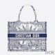 Dior Book Tote Reve d''Infini Motif Canvas Blue Bag