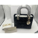 Dior Lady Women's DLite Grey Leopard Print Canvas Tote Bag