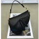 Christian Dior Mini Saddle bag (Varied Colors)